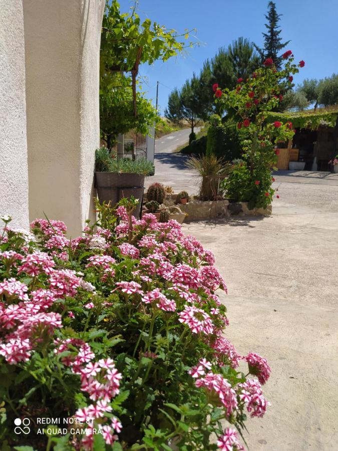 B&B Troisi Racalmuto Εξωτερικό φωτογραφία